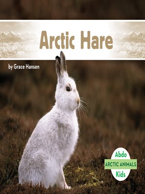 cover image of Arctic Hare